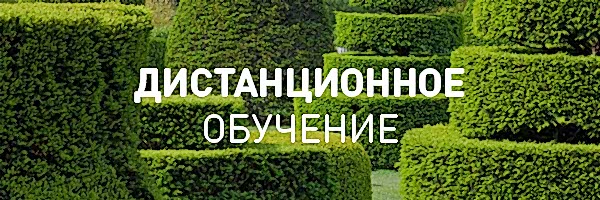 Ландшафтный дизайн (дистанционное обучение)