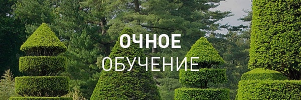 Ландшафтный дизайн (очное обучение)